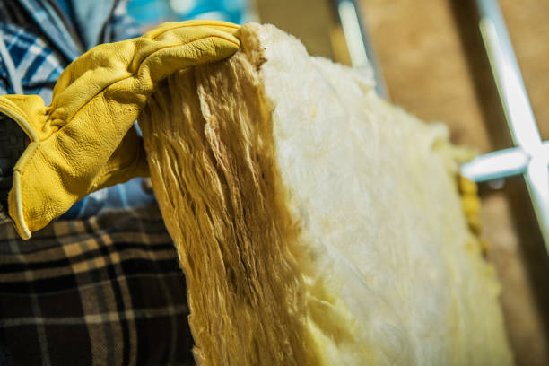 Best Specialized Insulation Services in Lake Summerset, IL
