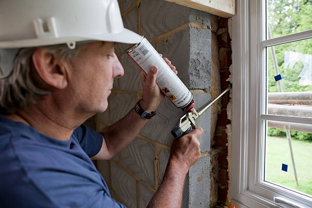 Best Geographic-Specific Insulation Services in Lake Summerset, IL