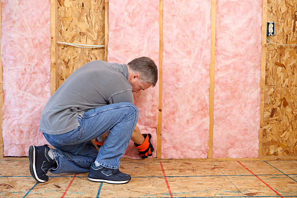 Best Insulation Maintenance and Repair in Lake Summerset, IL