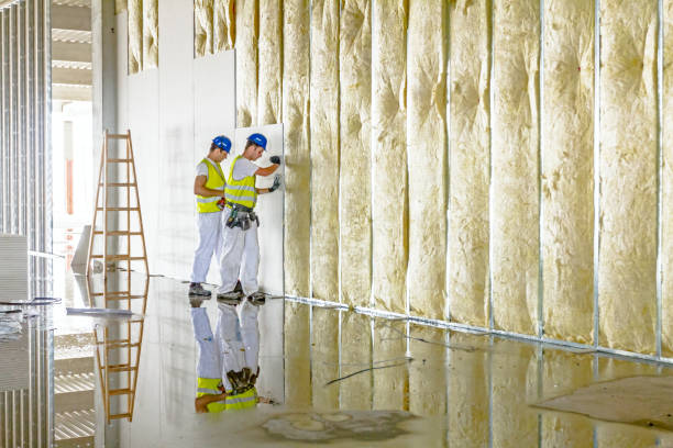 Best DIY Insulation Kits and Guidance in Lake Summerset, IL